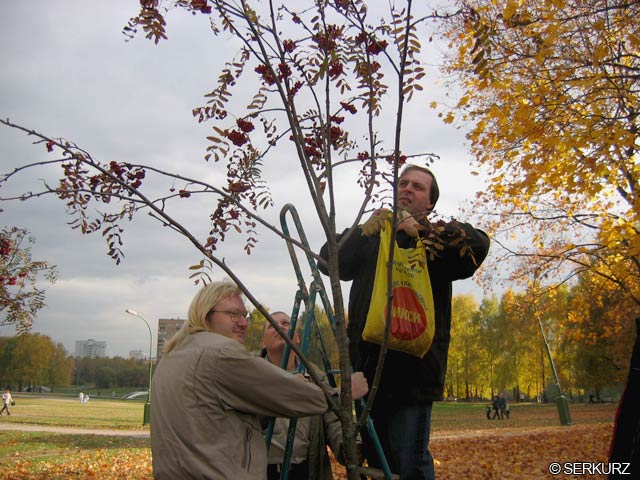 �������� ��. ����� ����������. 2005�.