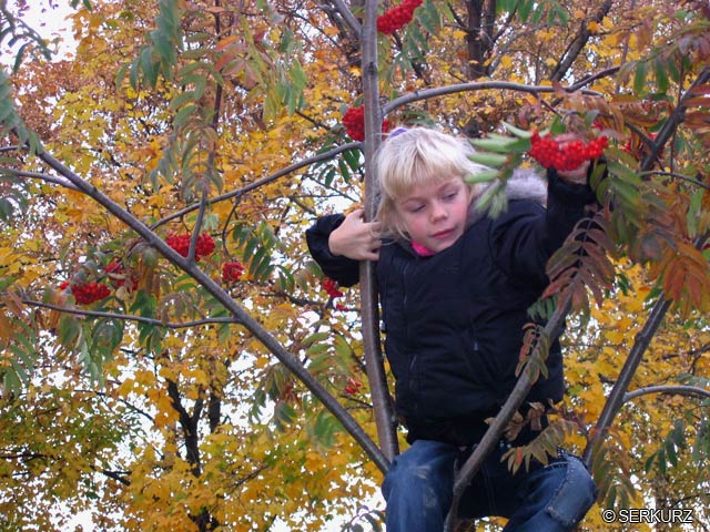 �������� ��. ����� ����������. 2005�.