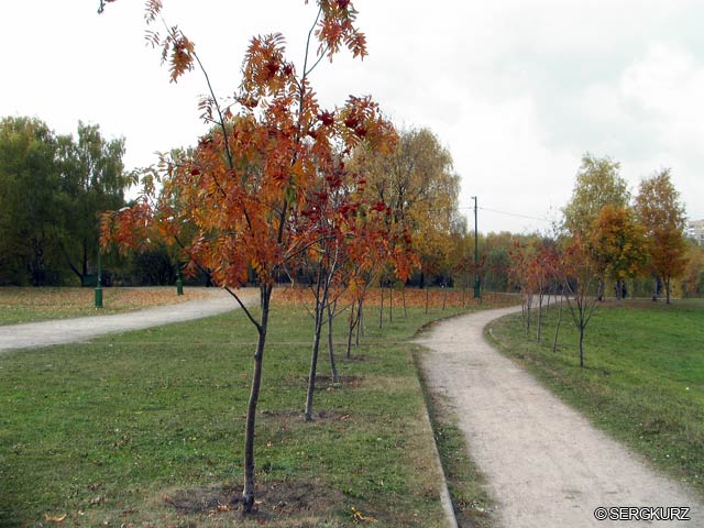 �������� ��. ����� ����������. 2005�.