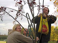 ���� C����� ��������.