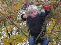 ���� C����� ��������.