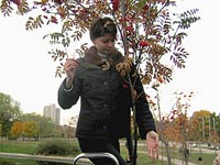 ���� C����� ��������.