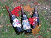 ���� C����� ��������.