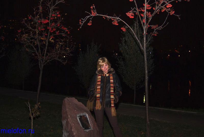 �������� ��. ����� ����������. 2008�.