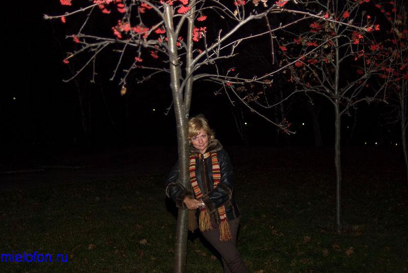 �������� ��. ����� ����������. 2008�.