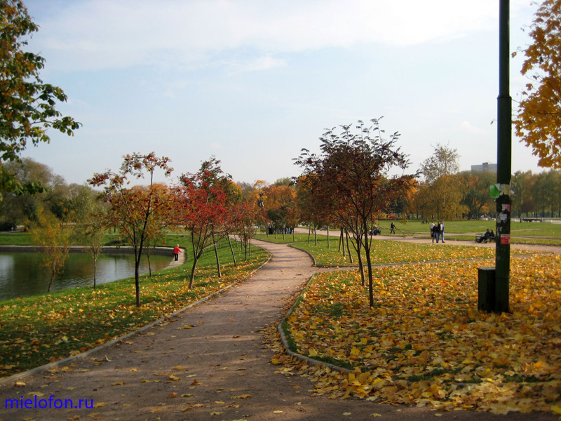 �������� ��. ����� ����������. 2008�.