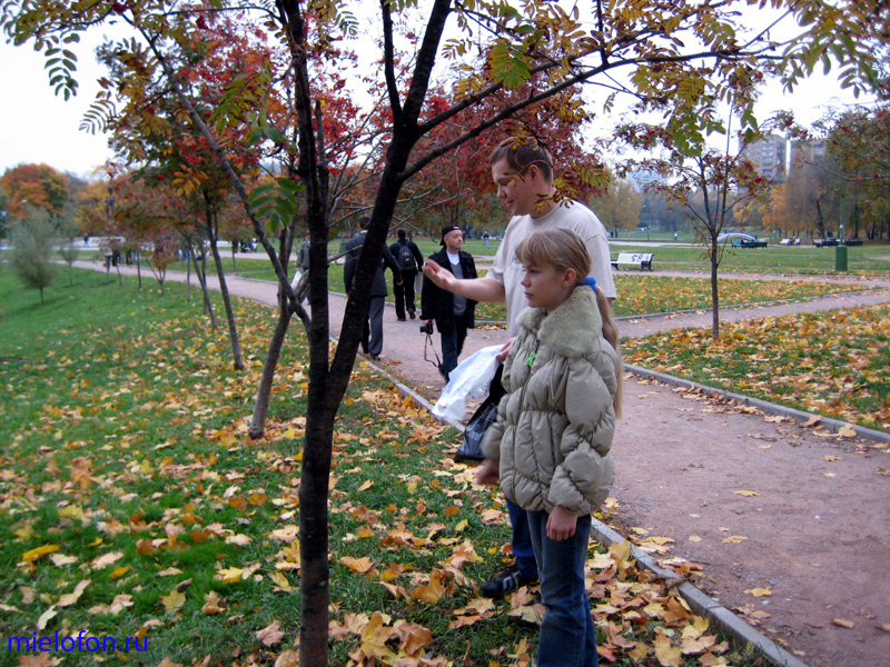 �������� ��. ����� ����������. 2008�.