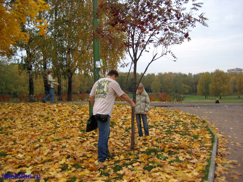 �������� ��. ����� ����������. 2008�.