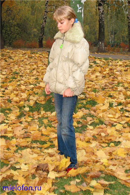 �������� ��. ����� ����������. 2008�.