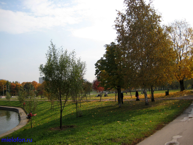 �������� ��. ����� ����������. 2008�.