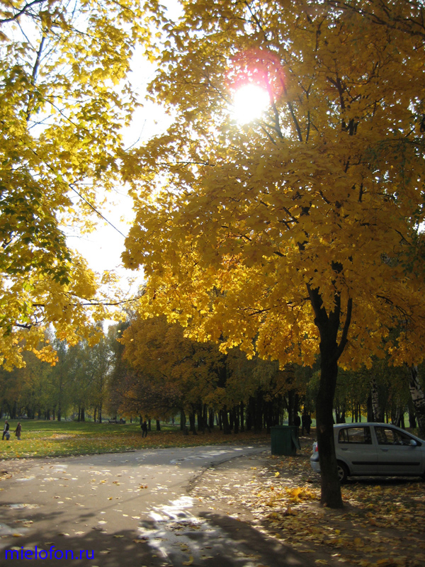 �������� ��. ����� ����������. 2008�.