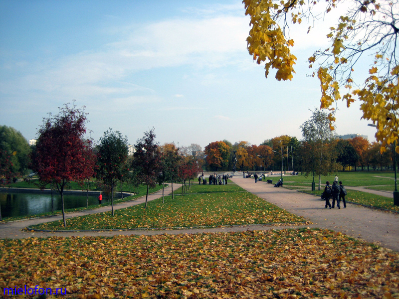 �������� ��. ����� ����������. 2008�.