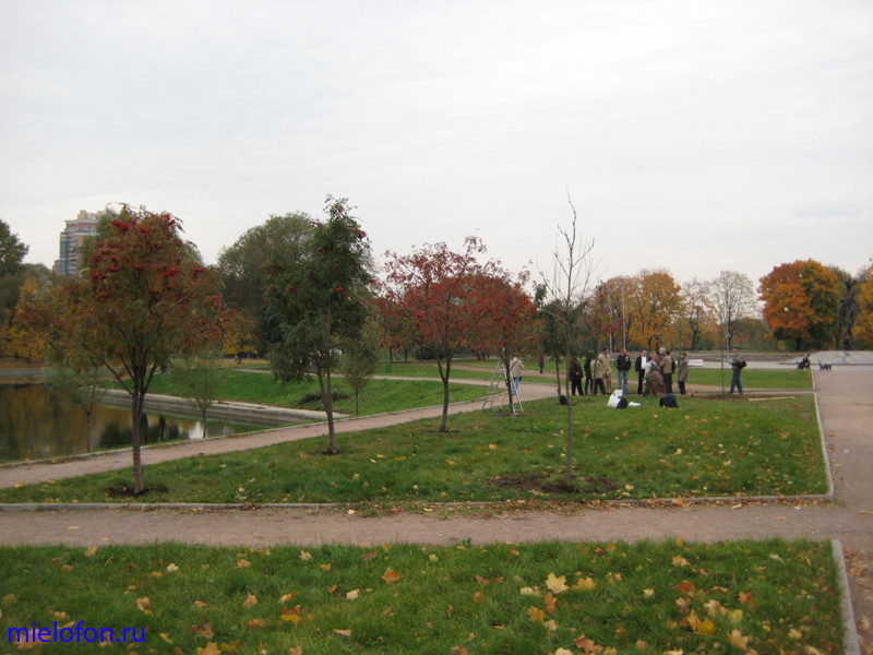 �������� ��. ����� ����������. 2008�.