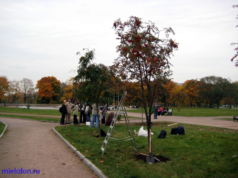 �������� ��. ����� ����������. 2008�.