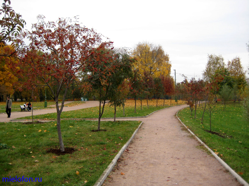 �������� ��. ����� ����������. 2008�.