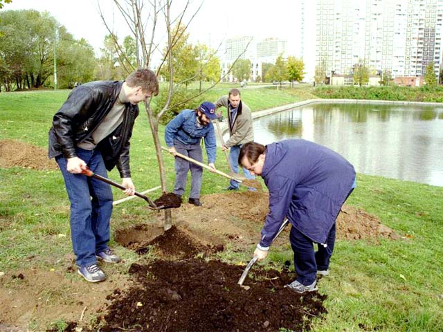 �������� ��. ����� ����������. 2001�.