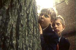 ���� �� ������