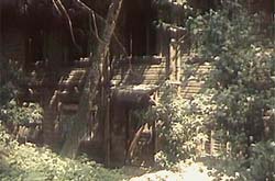 ���� �� ������