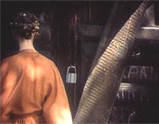 ���� �� ������