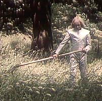 ���� �� ������