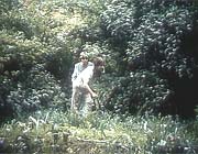 ���� �� ������