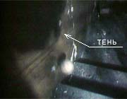 ���� �� ������