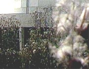 ���� �� ������