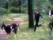 ���� �� ������