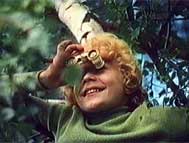 ���� �� ������