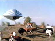 ���� �� ������