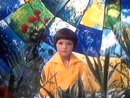 ���� �� ������.