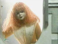 ���� �� ������